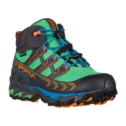 Buty Raptor II Mid GTX