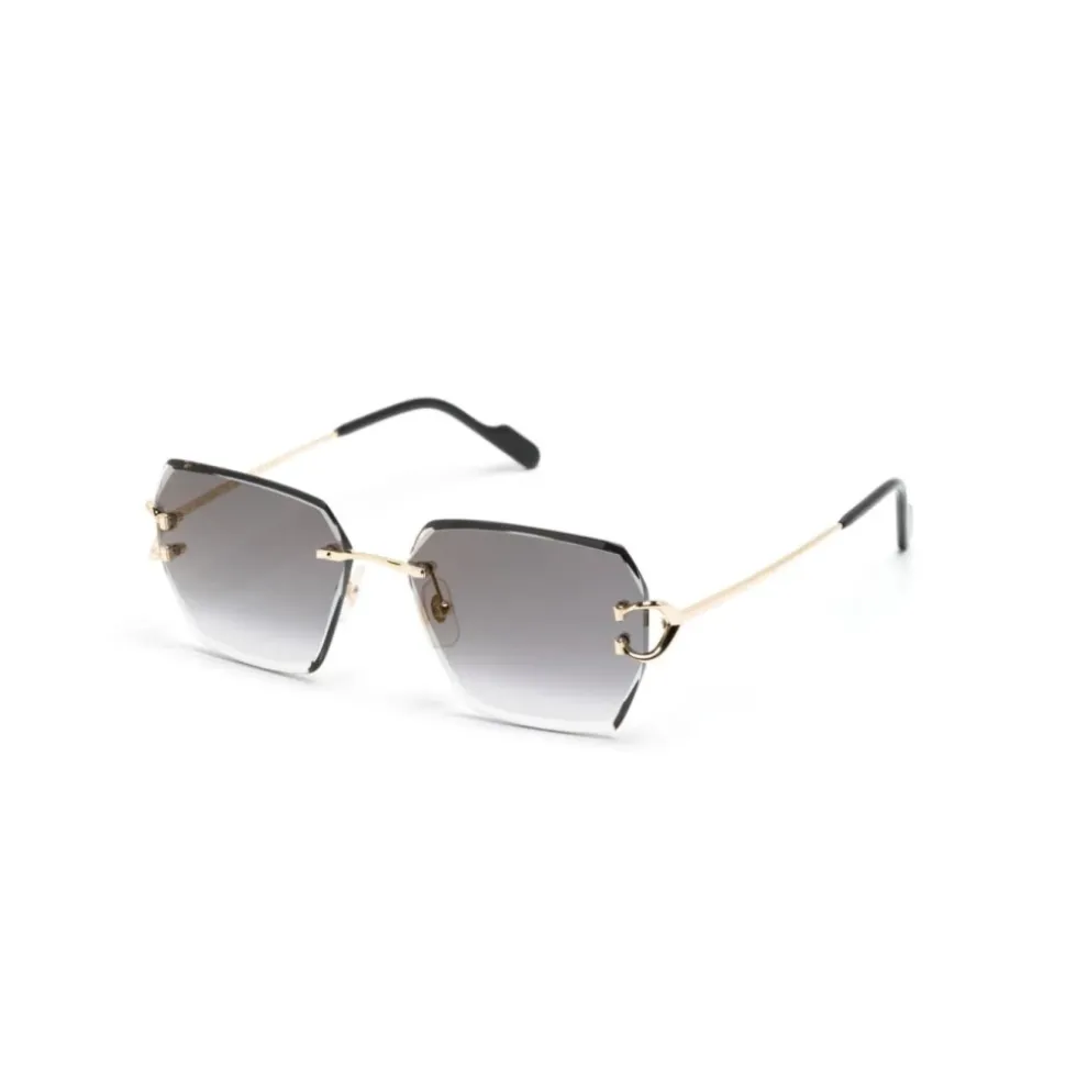 CT0466S 001 Sunglasses