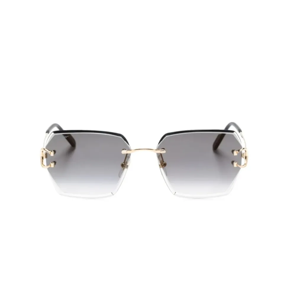 CT0466S 001 Sunglasses