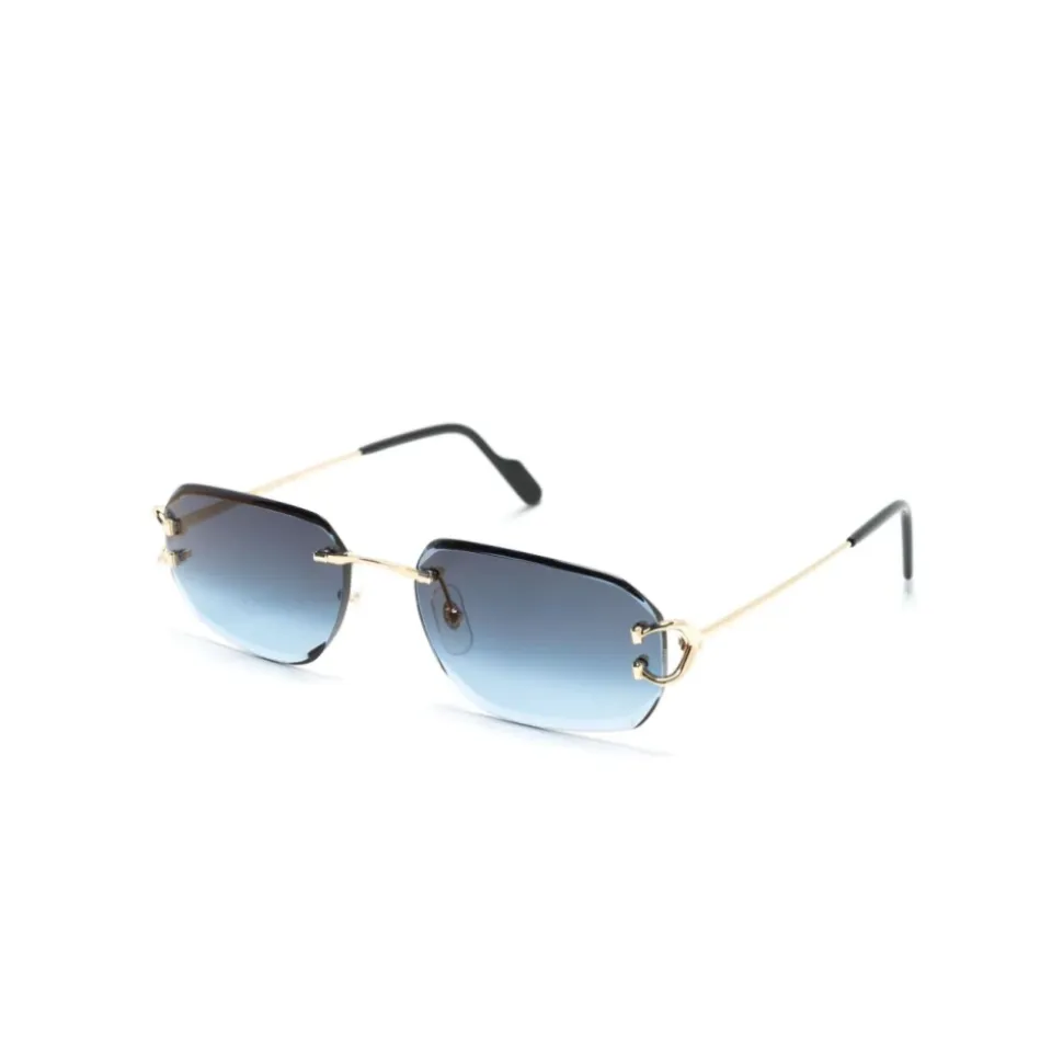 CT0468S 002 Sunglasses