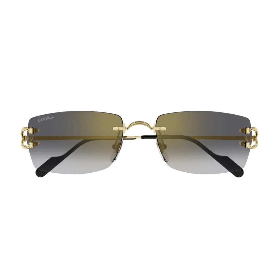 CT0550S 001 Sunglasses