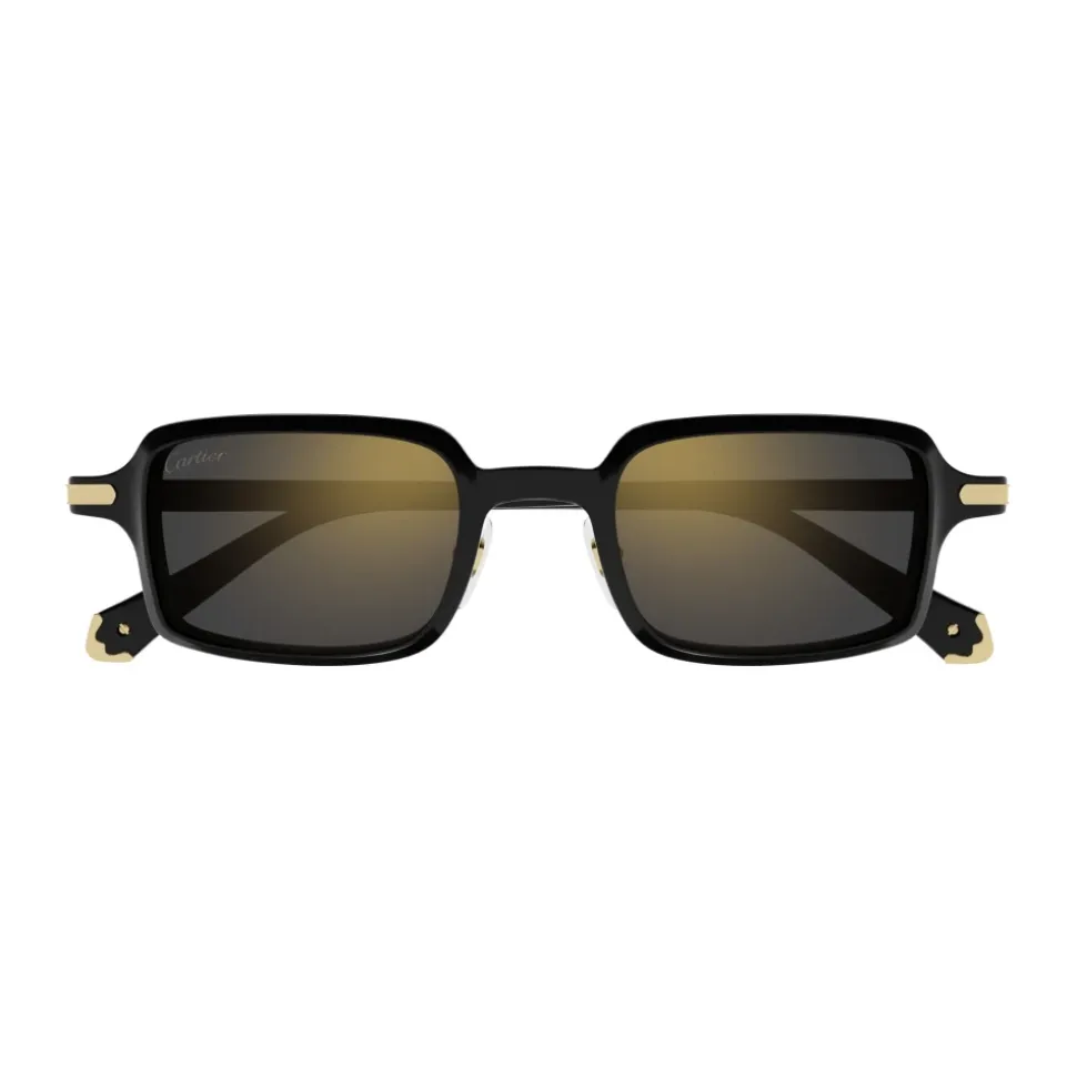 CT0539S 001 Sunglasses