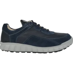 Evo