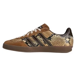 Gazelle Indoor Rattlesnake