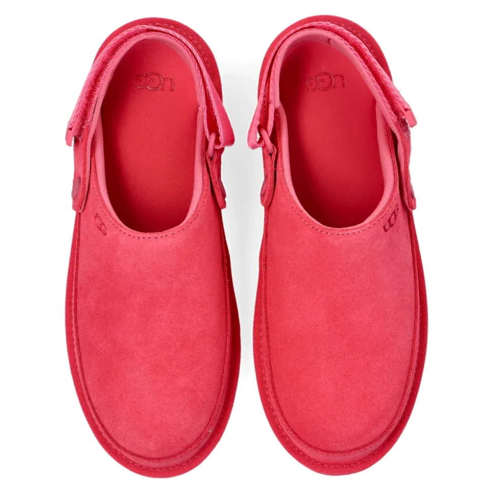 Goldenstar Clog