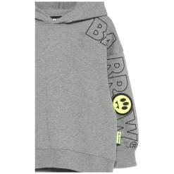 Hoodie Iconic