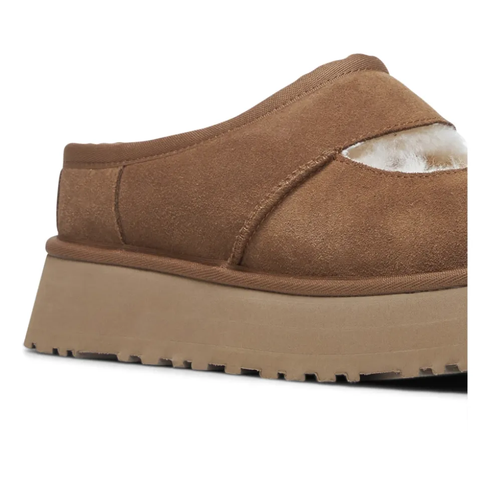 Indoor Shoes