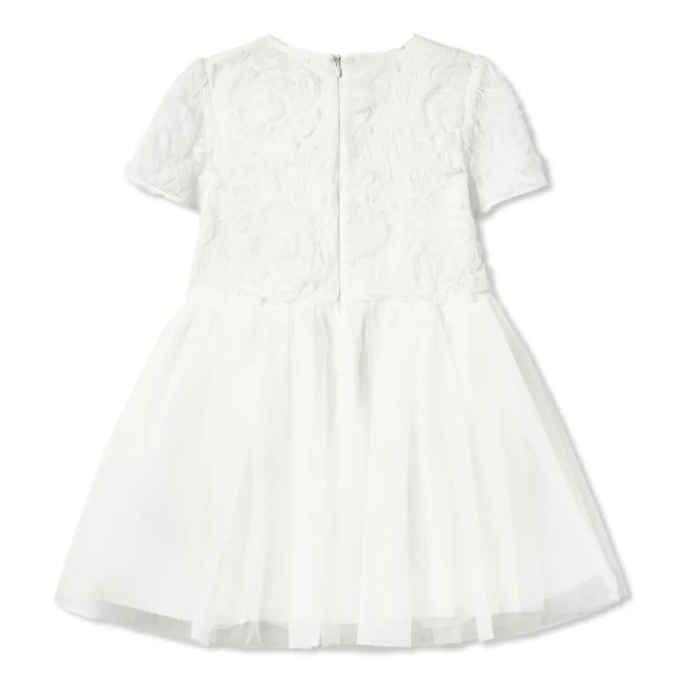 Lace Bow Detail Dress