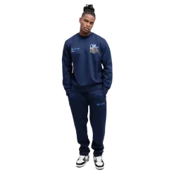 Lion Training Set