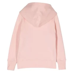 Pasiasty Sweter z Kapturem