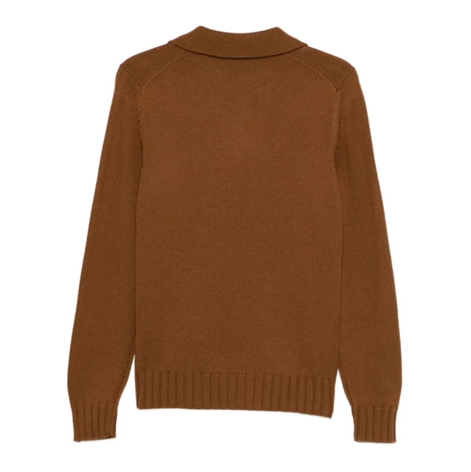 Polo Skipper