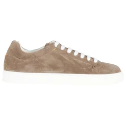 Sneaker Suede