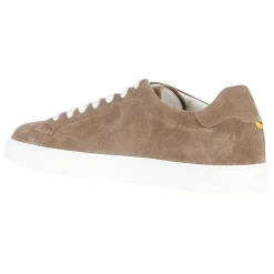 Sneaker Suede