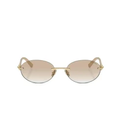 TF3104D Sunglasses