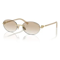 TF3104D Sunglasses