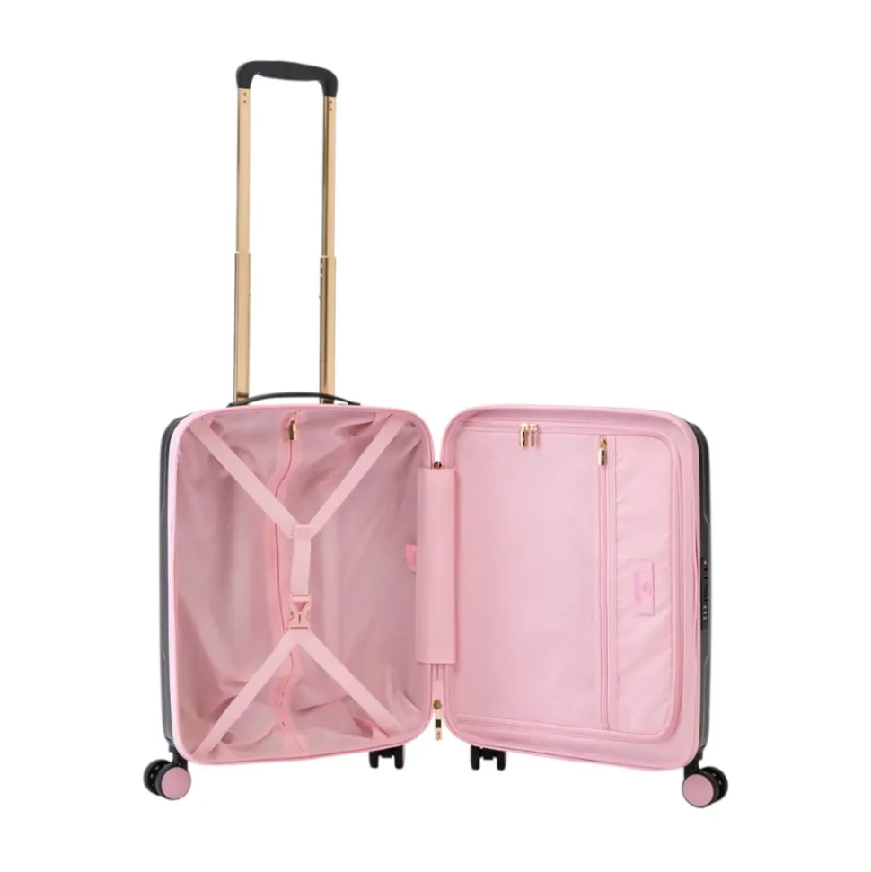 Trolley Puppies