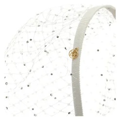 Veil