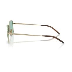 Welston Optical Frame