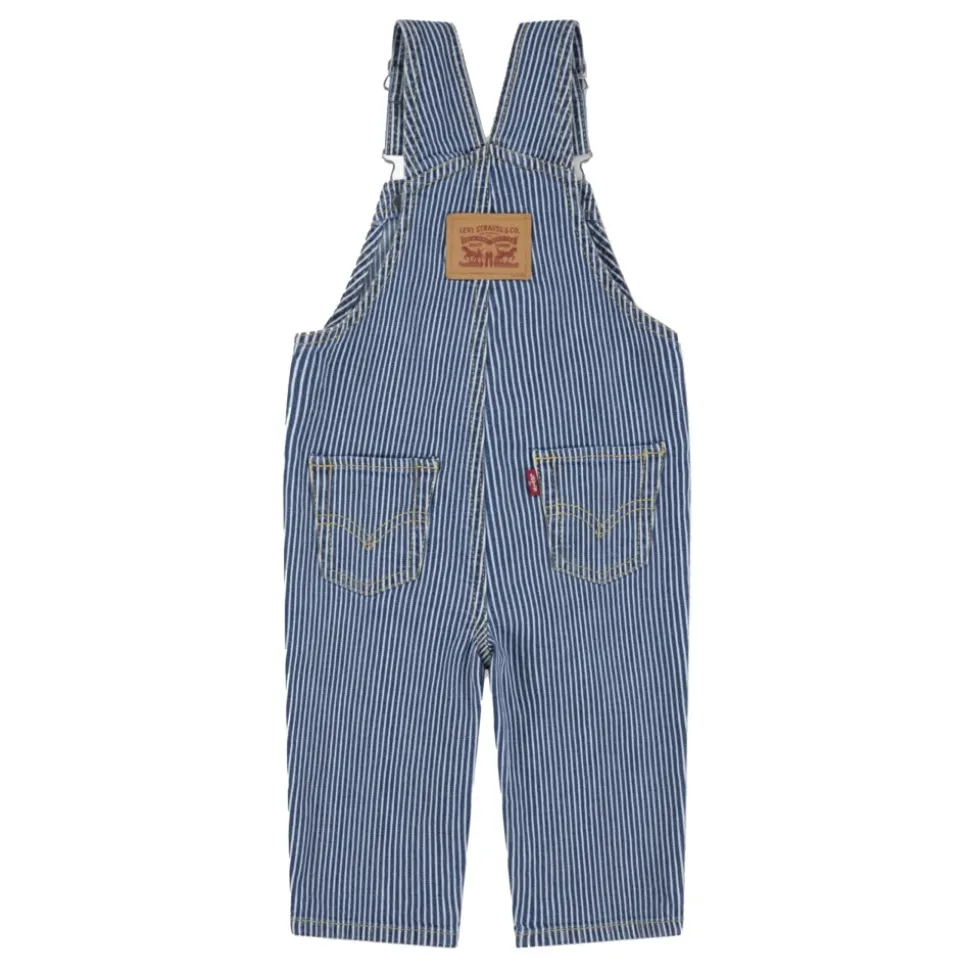 Wzorzysty Ogrodniczek